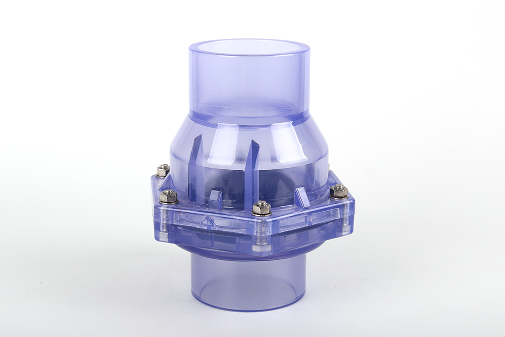 凤阳透明翻板式止回阀